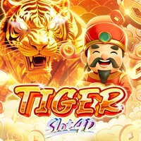 Hổ Slot4D icon